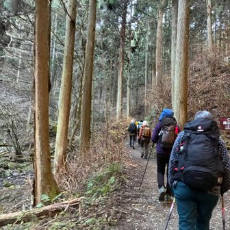 それぞれ担当の荷物を担いで陣馬山目指します！
カセットコンロ担当のYさんはテン泊装備ですか？って位大きいザックで😂