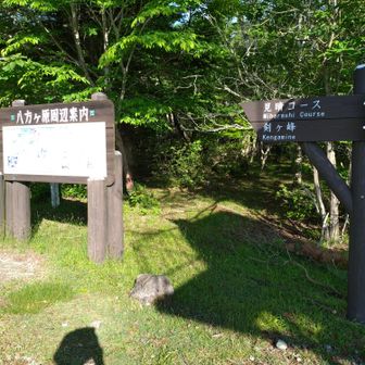 登山口です。
