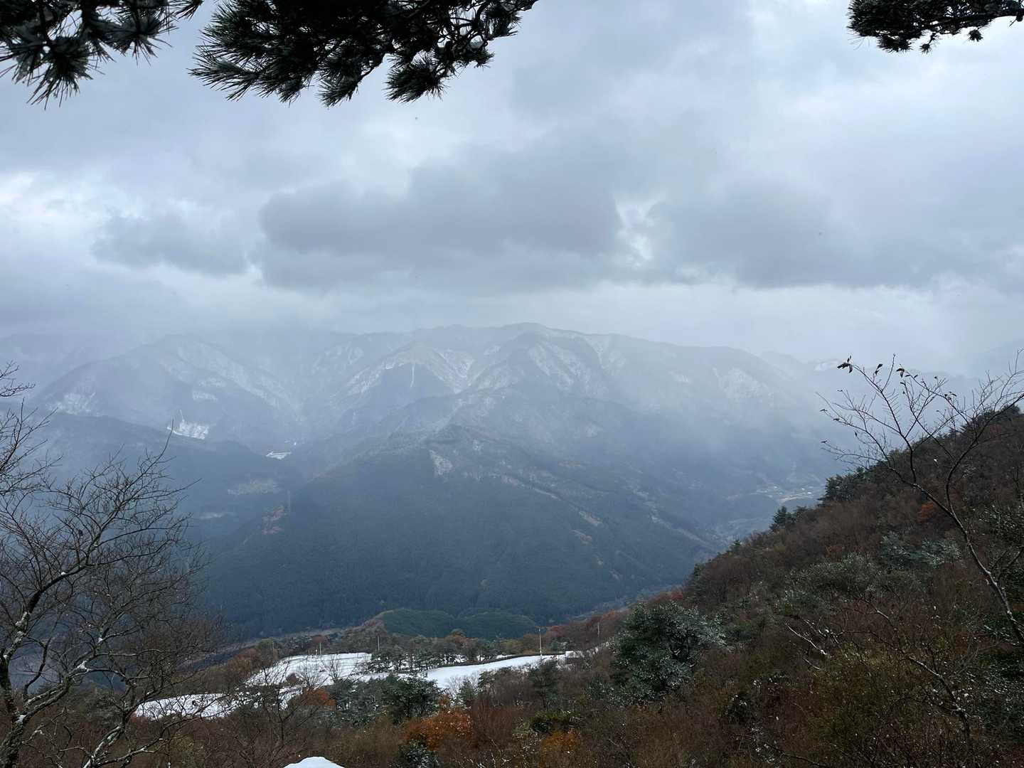 冬景色✨