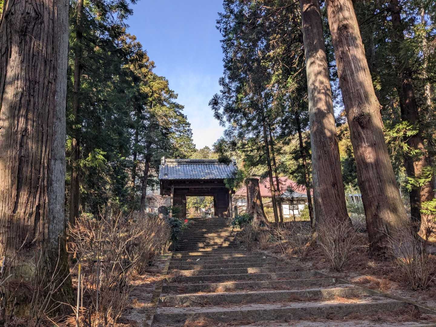 大中寺へ