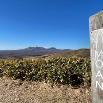山頂までの急登は地面は凍ってるけど表面は乾いてるので歩きやすい道でした