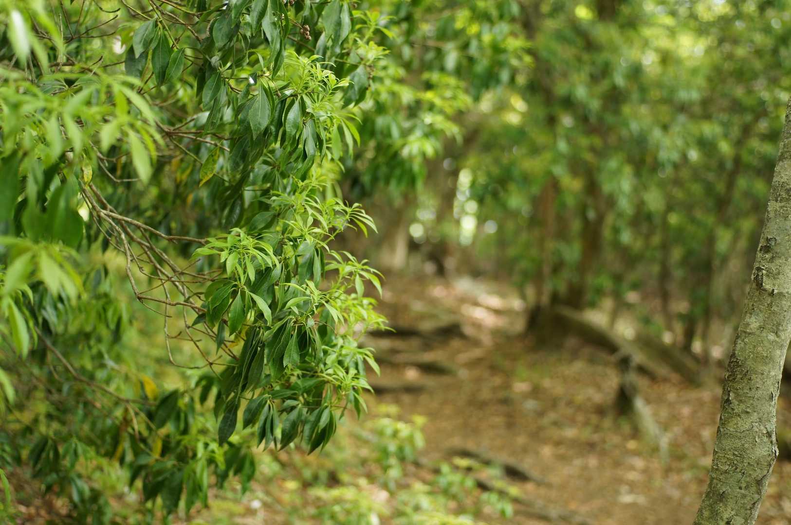 ここからはアドベンチャー感が強いと思ってます😌