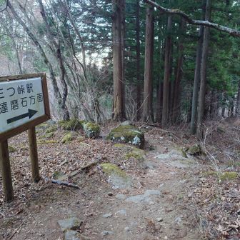 登山道にもどって