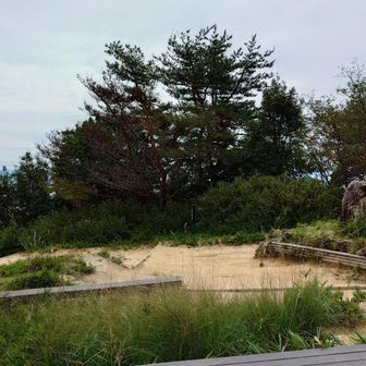 菊水山
めっちゃキツかった