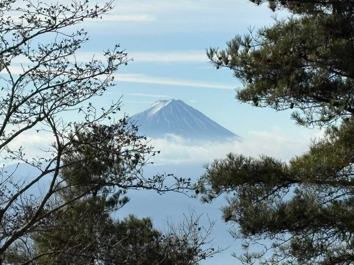 富士山、綺麗すぎです🤩