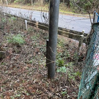 ガードレールを跨いで車道へ。山道はちょっとした冒険でした。