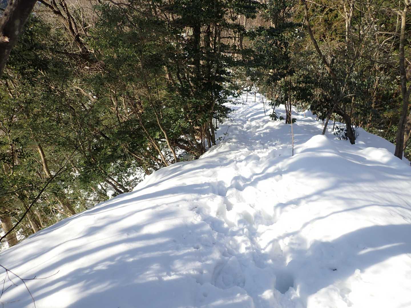 城ヶ平山大岩側登山口-城ヶ平山 往復コースの写真