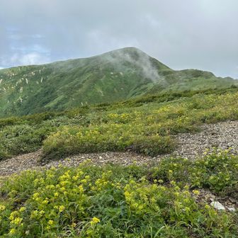 恥ずかしがり屋の和賀岳も、一瞬見せてくれた🙌