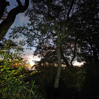 登山口手前10kmほどは
ダートでハードなアクセスだったので
昨日から不眠なのに
早朝から頭は覚醒😄