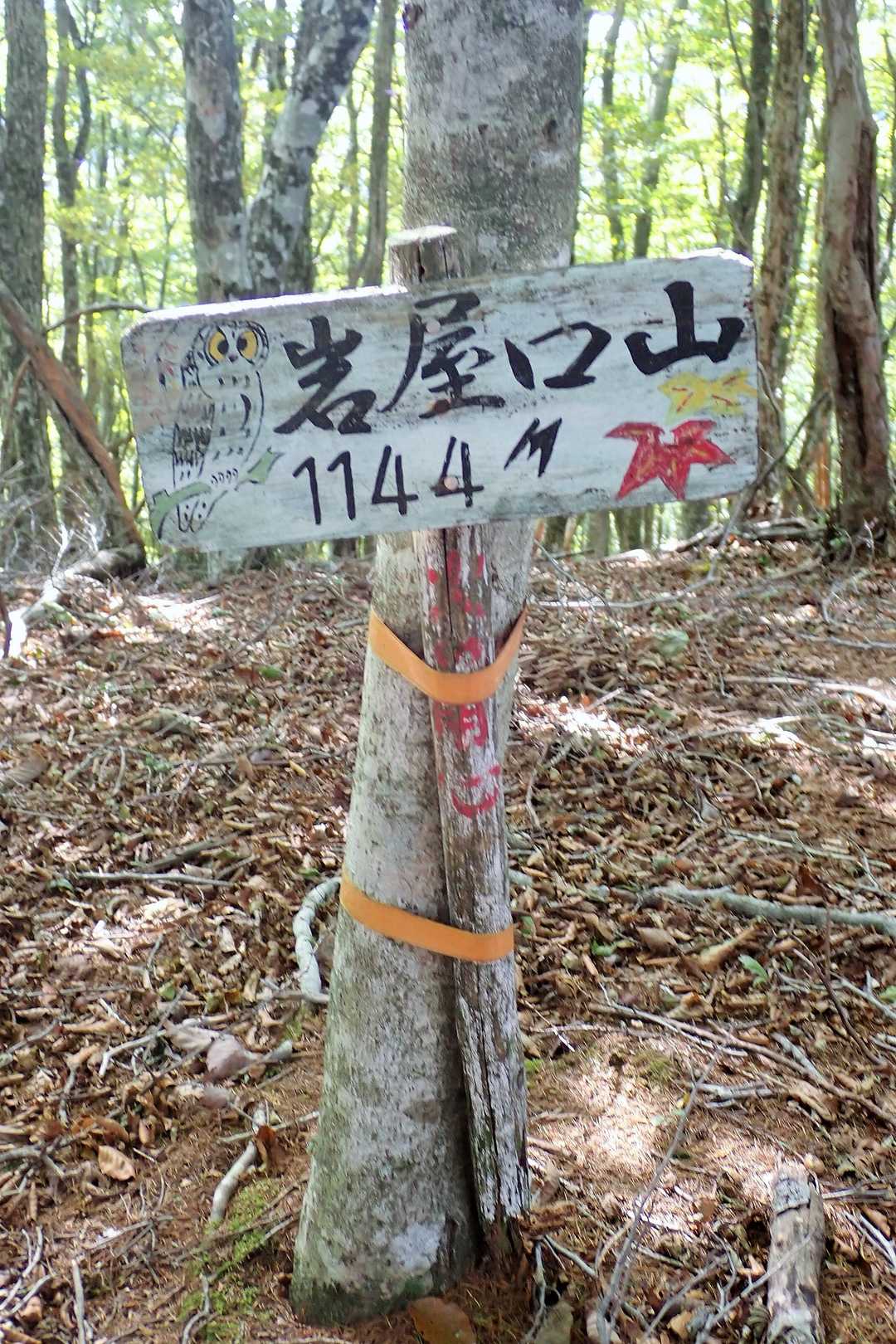 岩屋口山の写真