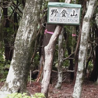 野登山頂上