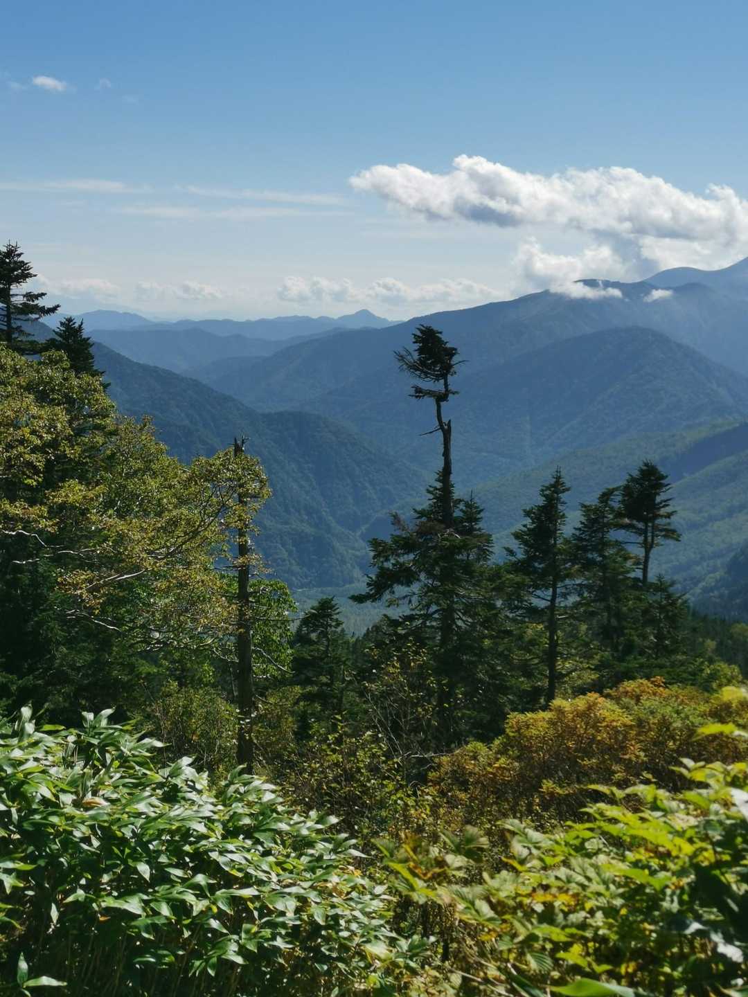 何の山だろうなぁ