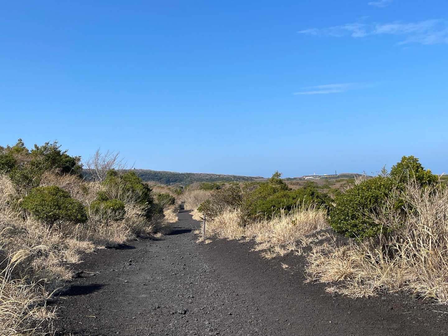 😗「おお、緑だ✨」
荒れた荒野→緑の木々に囲まれて、心がほっこり。