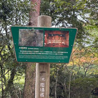大南神社⛩️