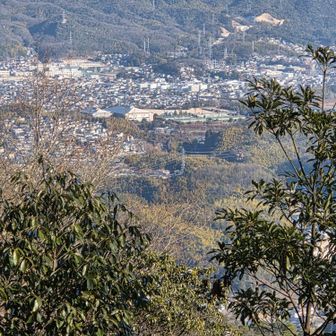 ヘリコプター🚁大応山より低く飛んでる