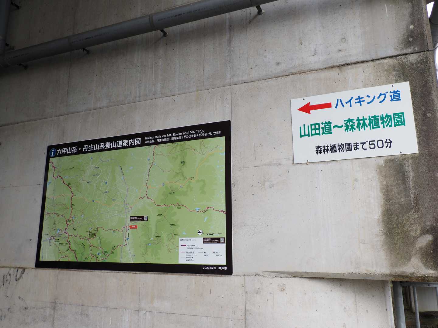 谷上駅 出発

この「山田道～森林植物園まで50分」のペースって、絶対設定早過ぎると思うんですよねえ…

本日。谷上駅改札出る時にAM7:00ジャスト スタートで、写真撮りながらですが、なるべく一定の自分ペースで歩いてみるとします。
ソロなので気楽♪（いつもの同行おやじこと🦍さんは、おうち😁）

帰ってチェックしたら、YAMAP平均140％ぐらいの速度で谷上駅～森林植物園を55分間ぐらいで歩いていました
ヤマレコでは ×0.7 です

やっぱり看板の設定は早めです。
普通に会話したり、途中で5分ほど水分補給休憩しながら歩くなら駅から植物園までは最低70分はいるはず💦

