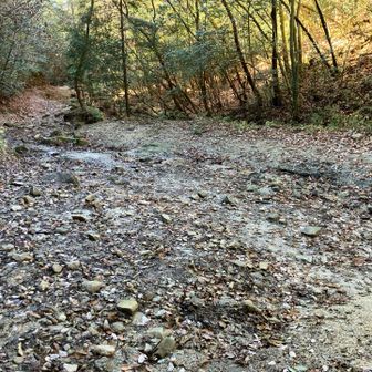 なんか広いところに出た！