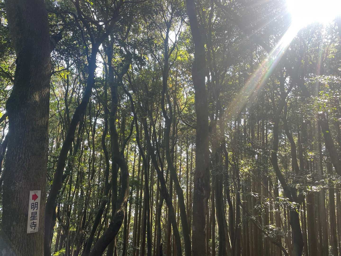 下竜王山-龍王神社-龍王山 往復コースの写真