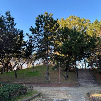 港公園内
あのこんもりたぶん天保山