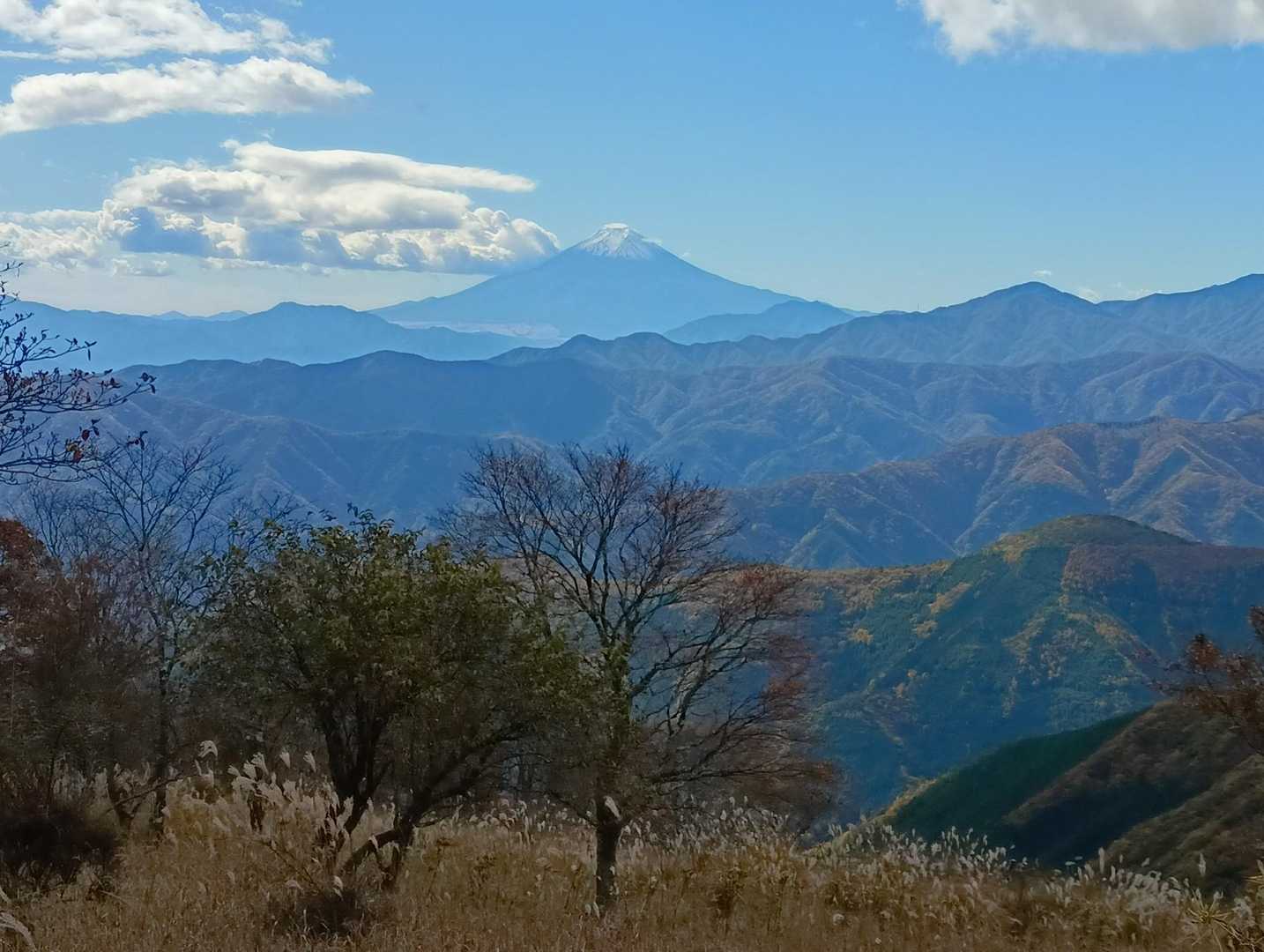 鷹ノ巣山 往復コースの写真