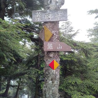 ここからが難所と紹介されて居ました🙃