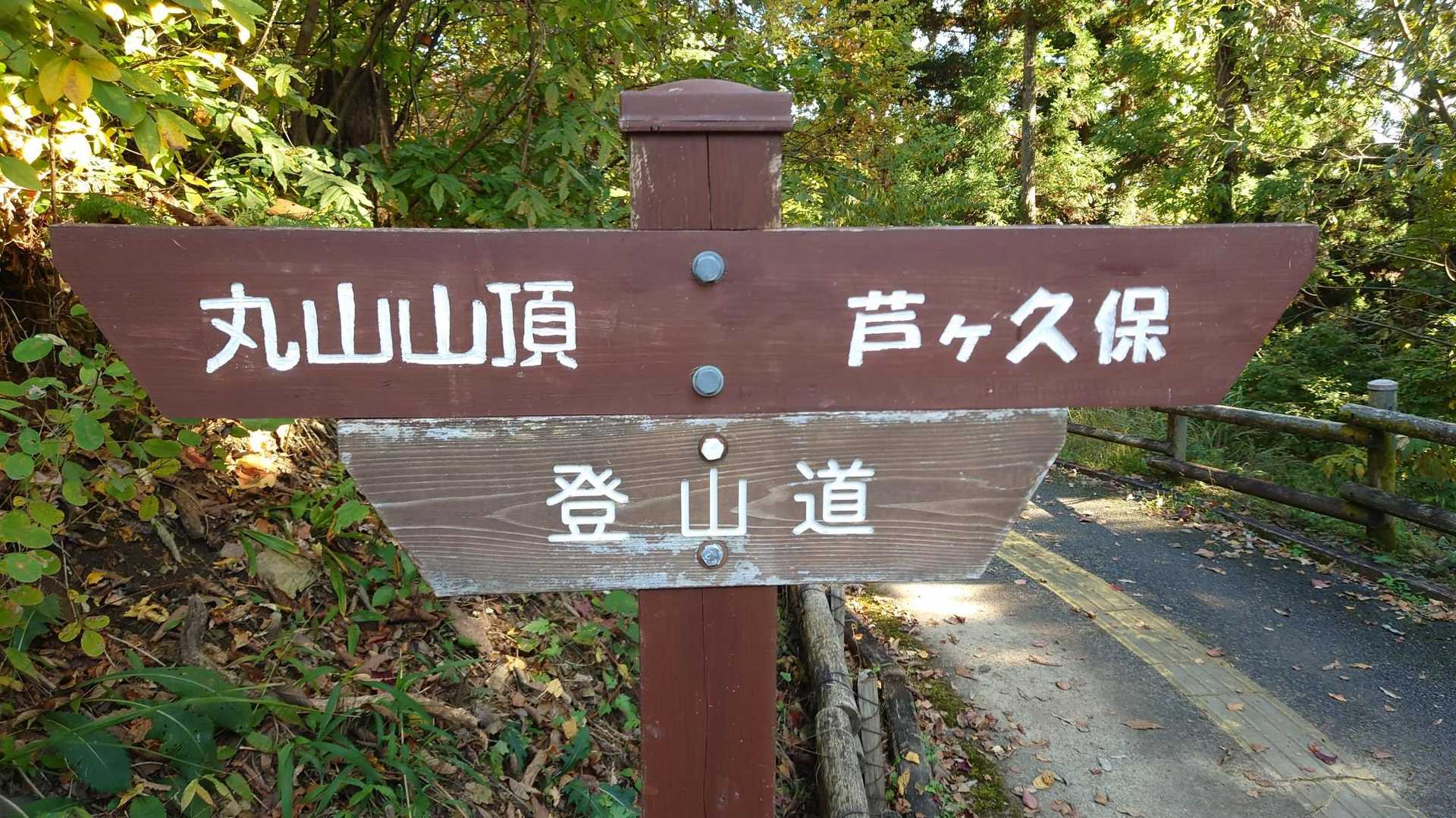 芦ヶ久保駅-登山道入口-丸山-大野峠 縦走コースの写真
