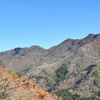 左端の、濃い緑色の三角形のところが白旗山かな？待ってろよー、あとで行くぞー。