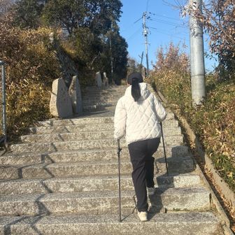 娘っち
妙見さんデビューです☺️💖