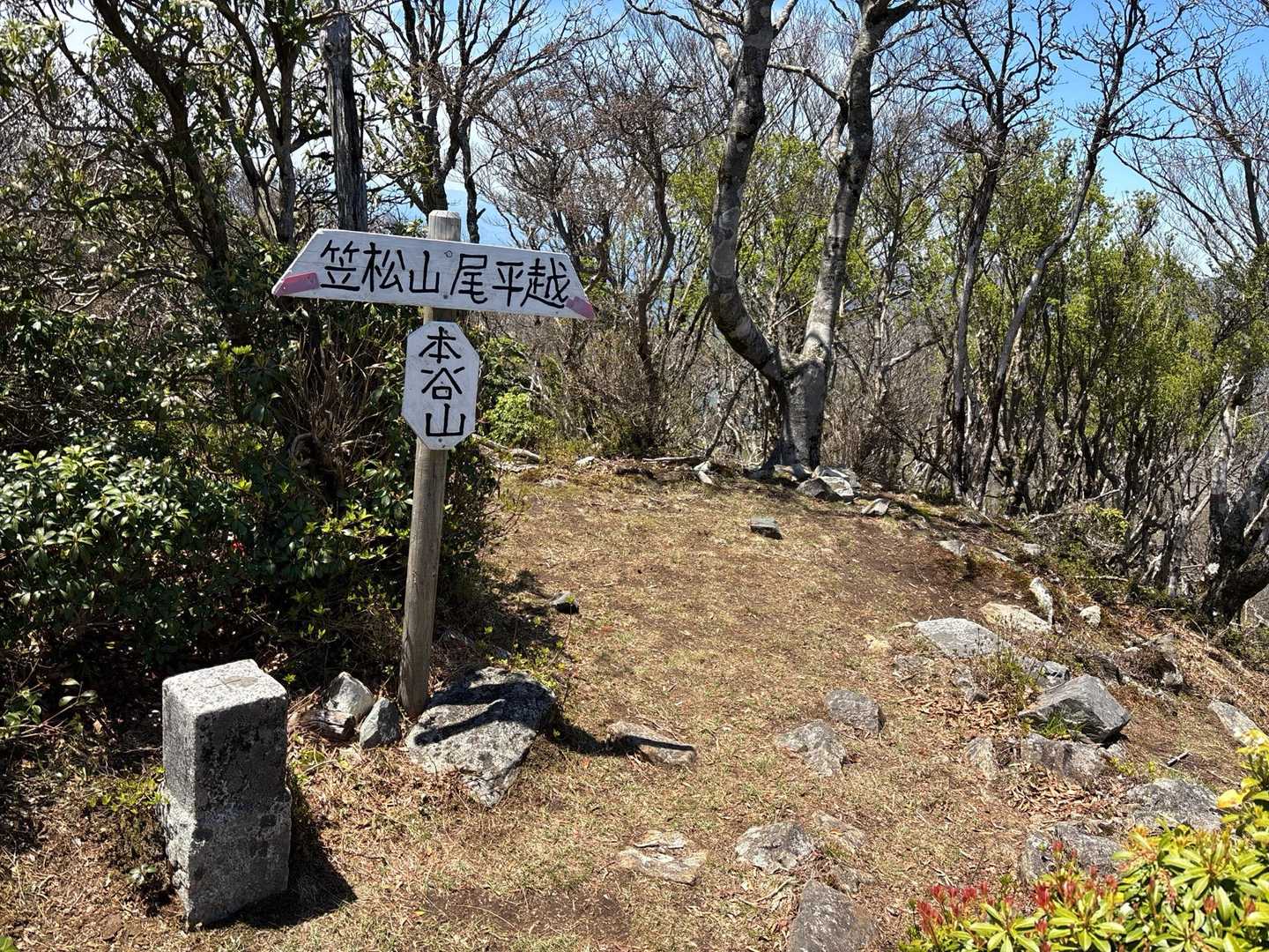 祖母傾完全縦走する方と言葉を交わしながらやってきた✨
今朝、九折小屋をスタートして祖母の小屋を目指すそう。