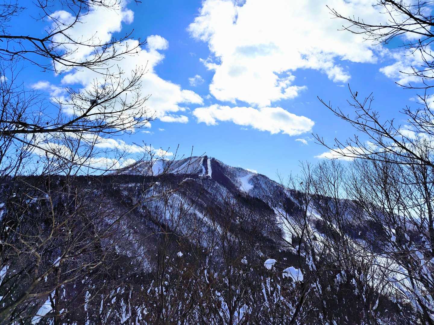 斑尾山🏔️タングラムスキー場。