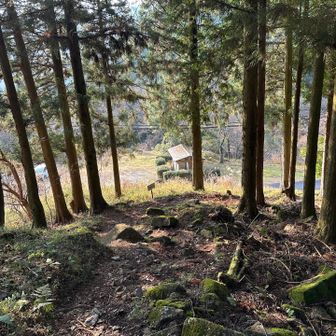 登山口に到着！お疲れ山でした😊