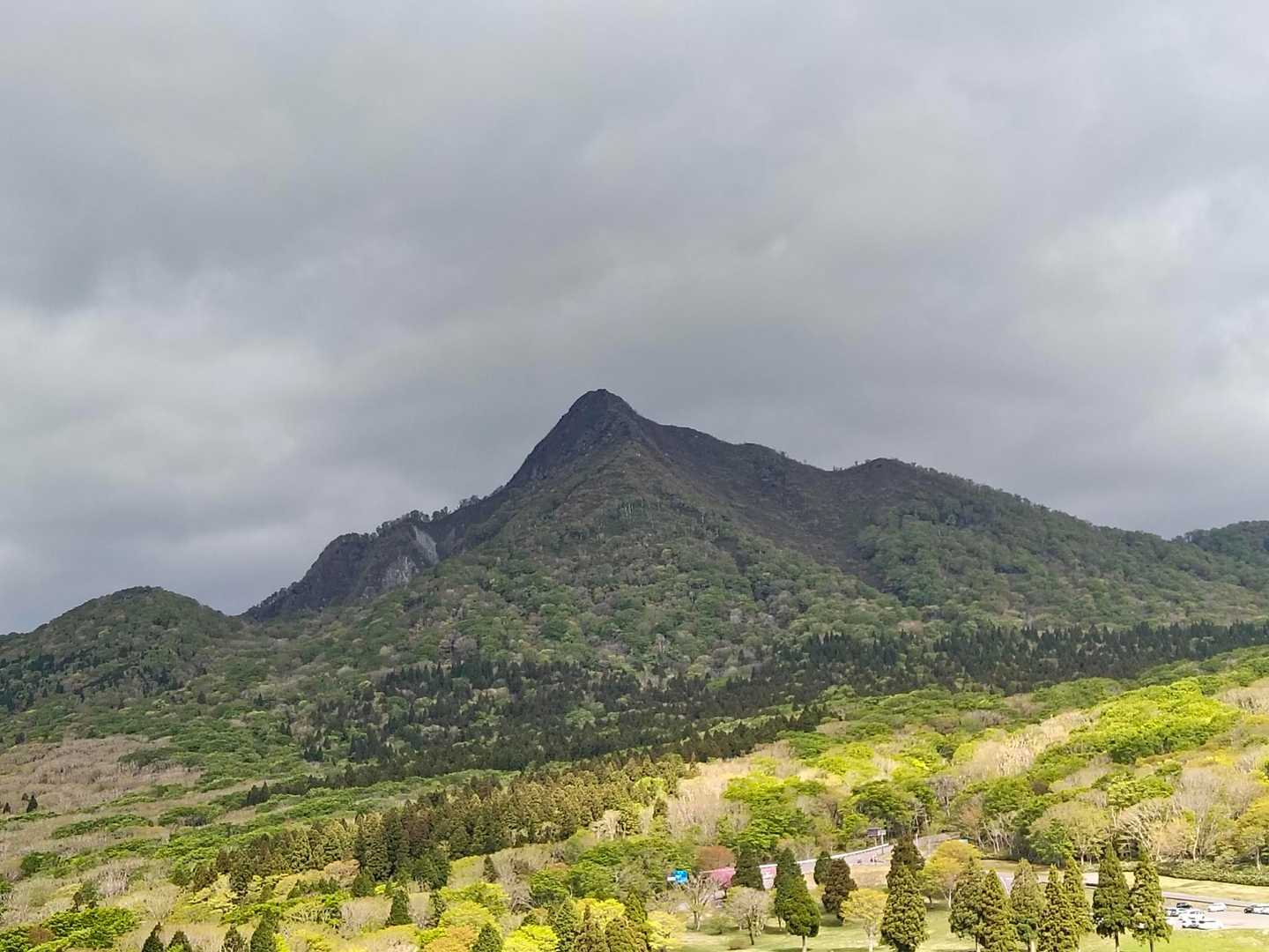 擬宝珠山 往復コースの写真