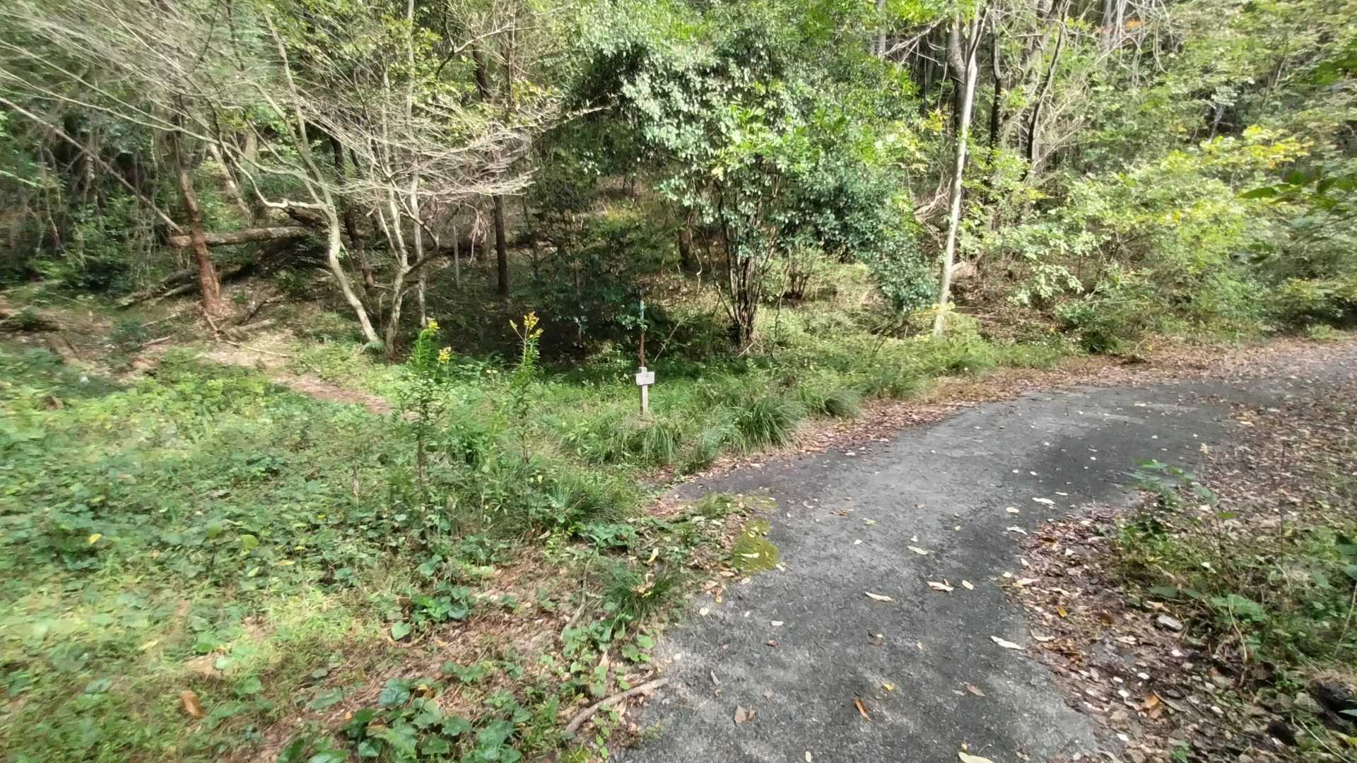 割とすぐ登山口。昨日に続き２日連続の登山口。