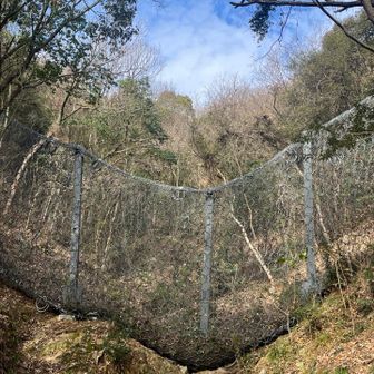 ストーンガード、広島県は土砂災害警戒区域が無茶苦茶多いんです。😞
