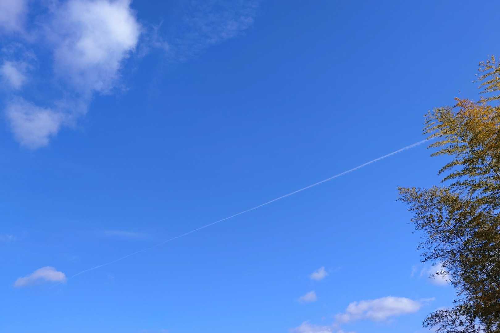 ふと見上げると
青空を切り裂くようなコントレイル ✈️
山部赤人もこの空を見上げただろうか？
時を超えて流れる飛行機雲に暫し見惚れて