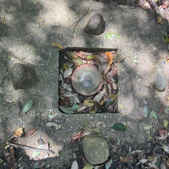 なんかいつもと違う