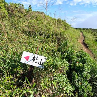 次は杉山へ。。。