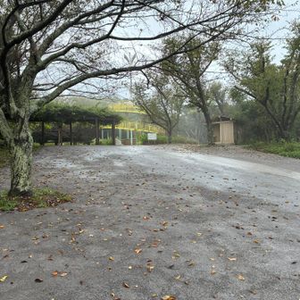 頂上がキレイに草刈り&整地されてました
行楽シーズン、地べたにシート敷いてゆっくり楽しめますね