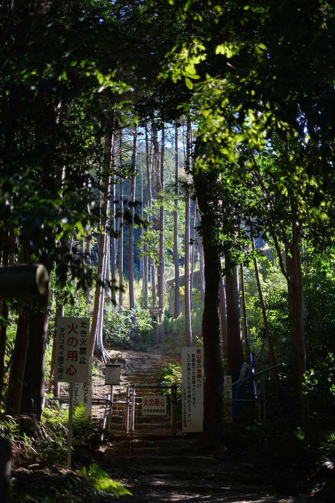 緑のトンネル