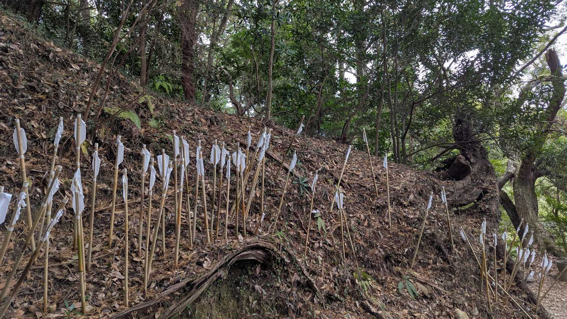 尾根道に戻ったら、小笠山山頂を巻いてましたので、先に小笠神社⛩️へ
矢が刺さってます