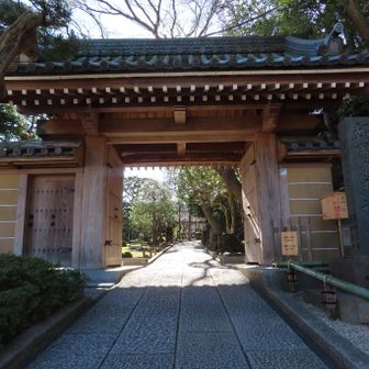報国寺
竹の庭で知られる臨済宗の寺院
枯山水や苔生す石もありいつ行っても心が落ち着く。