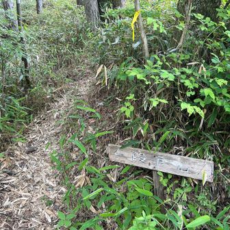 登山口もわかり辛い。