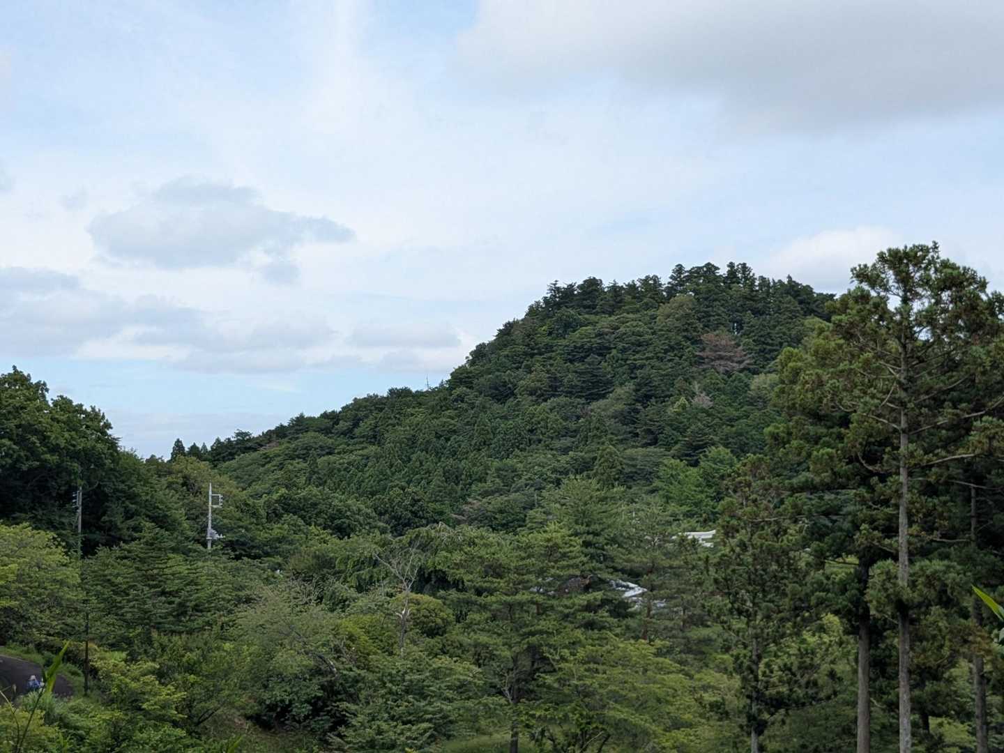 愛宕山が見えました😊もう直ぐゴールです📷