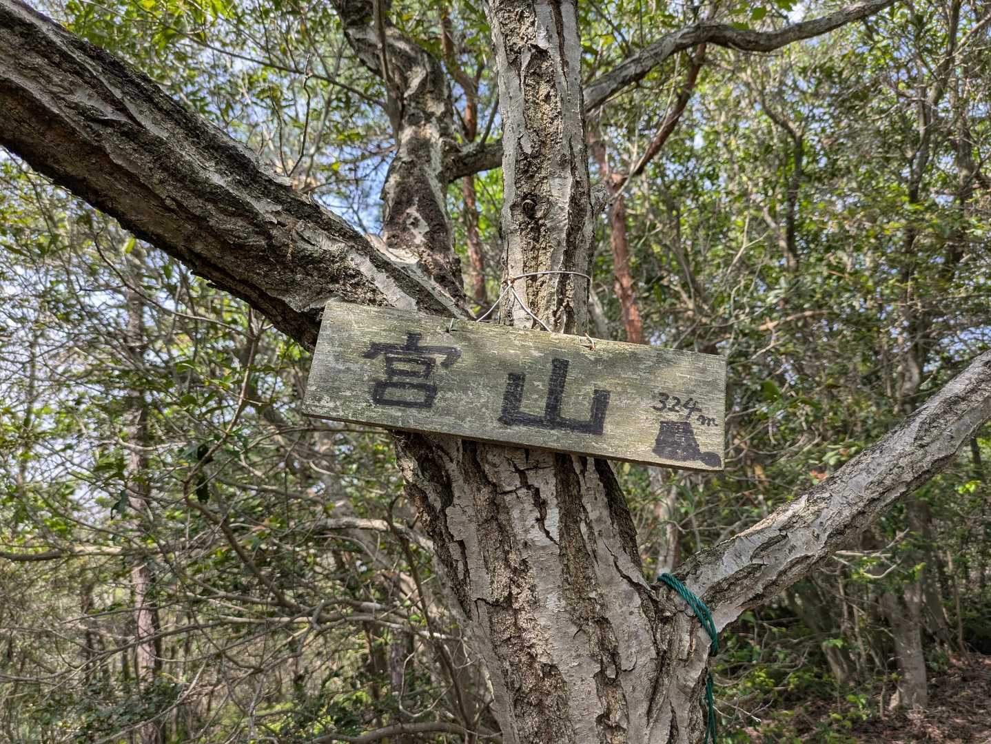 宮山取付き-宮山-医王山 往復コースの写真