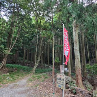 最短コース登山口
ここからずっと山頂迄木陰で有難い登山道です✌️