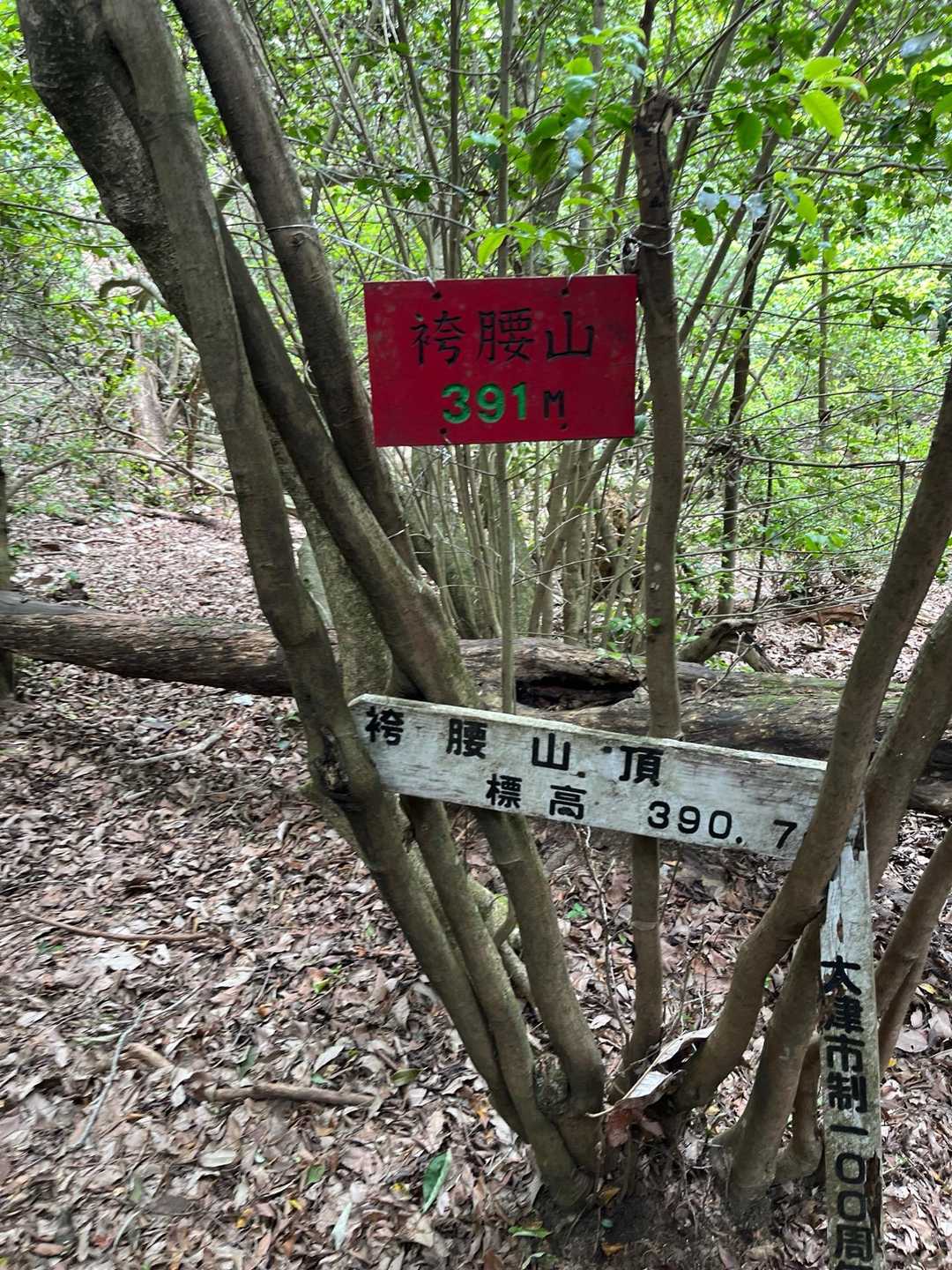 立木山-袴腰山 往復コースの写真