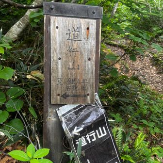 道行山←
分岐にあった