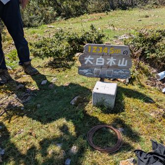 折れていた前の看板は三角点の後ろに打ち込み