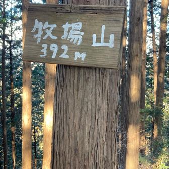 家畜は居なかった