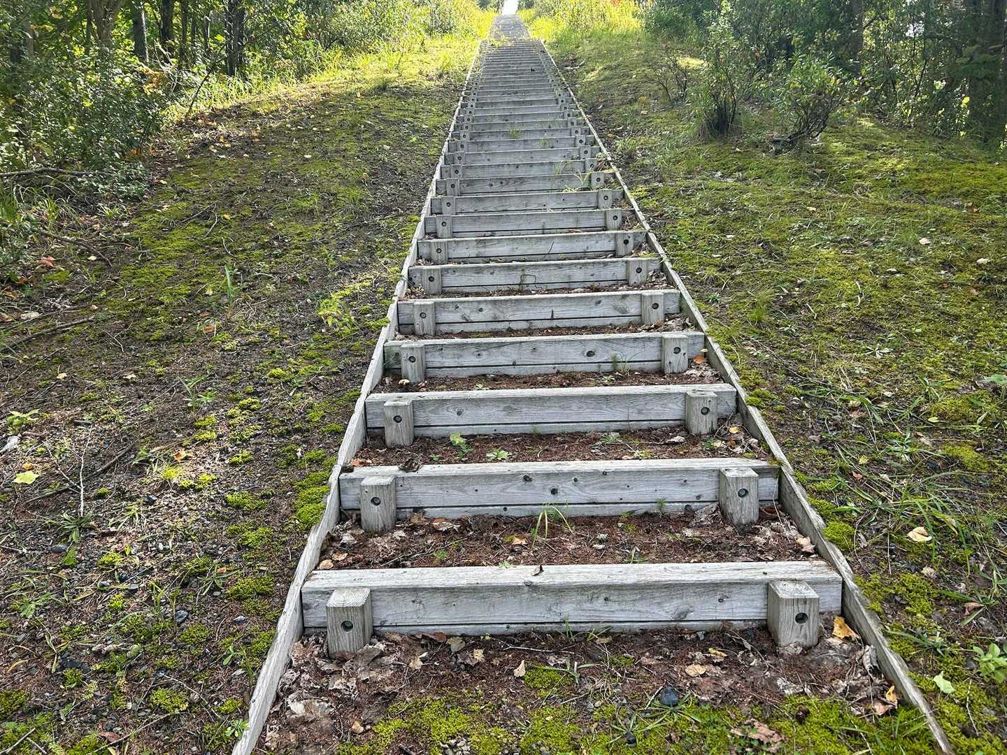 ズリ山 往復コースの写真